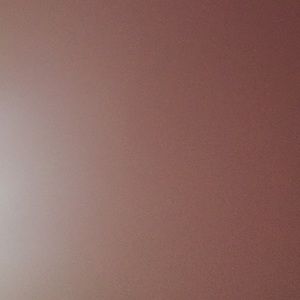 Meet your Posher, Monae